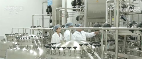 春招季亮點頻現 數字技術智慧服務加速融入新興行業，“掐尖”趨勢凸顯